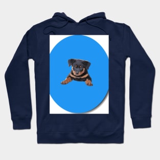 dog Hoodie